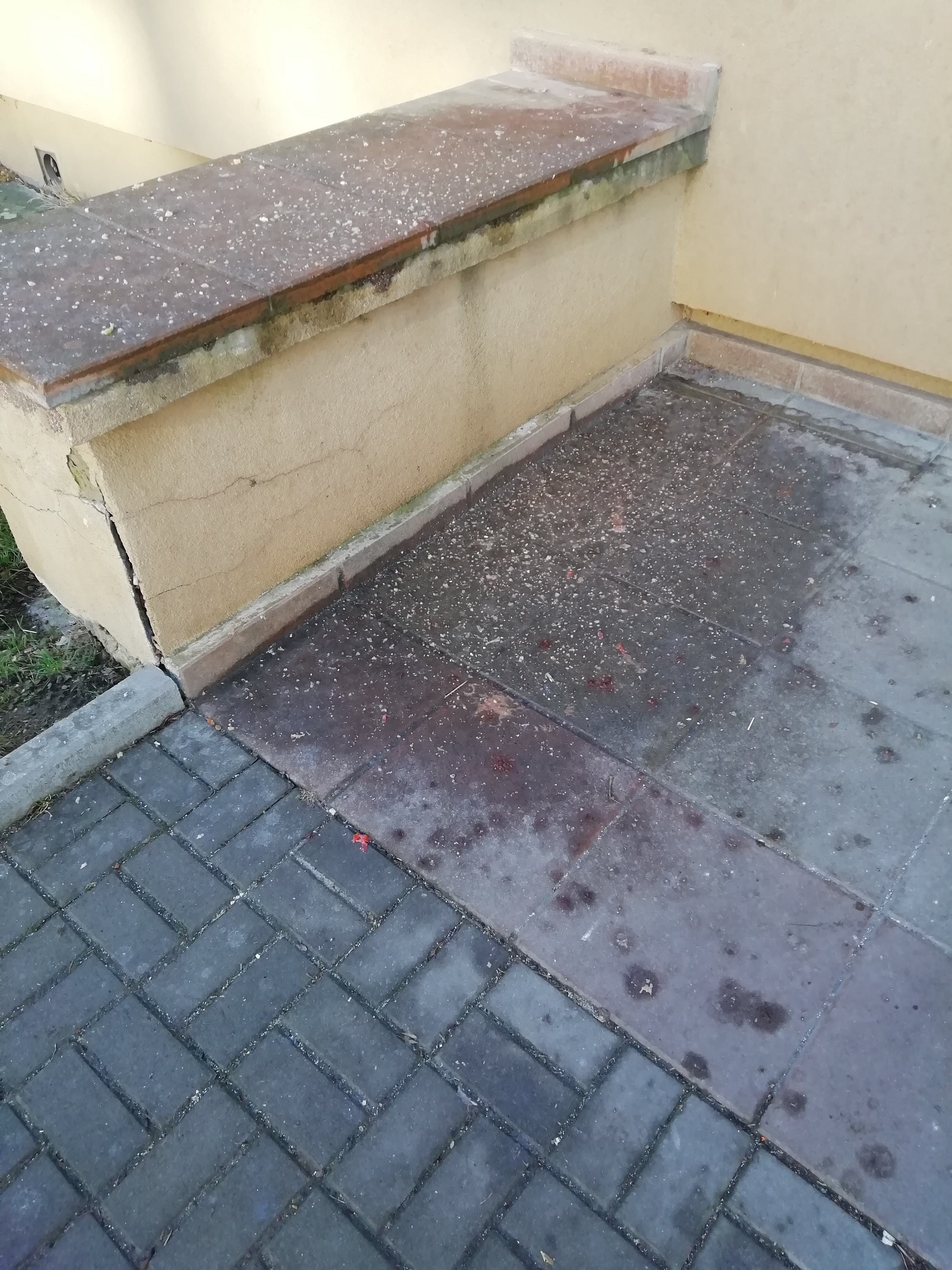 359-však on to někdo uklidí